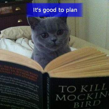 cat reading how to kill a mocking bird. It's good to plan
